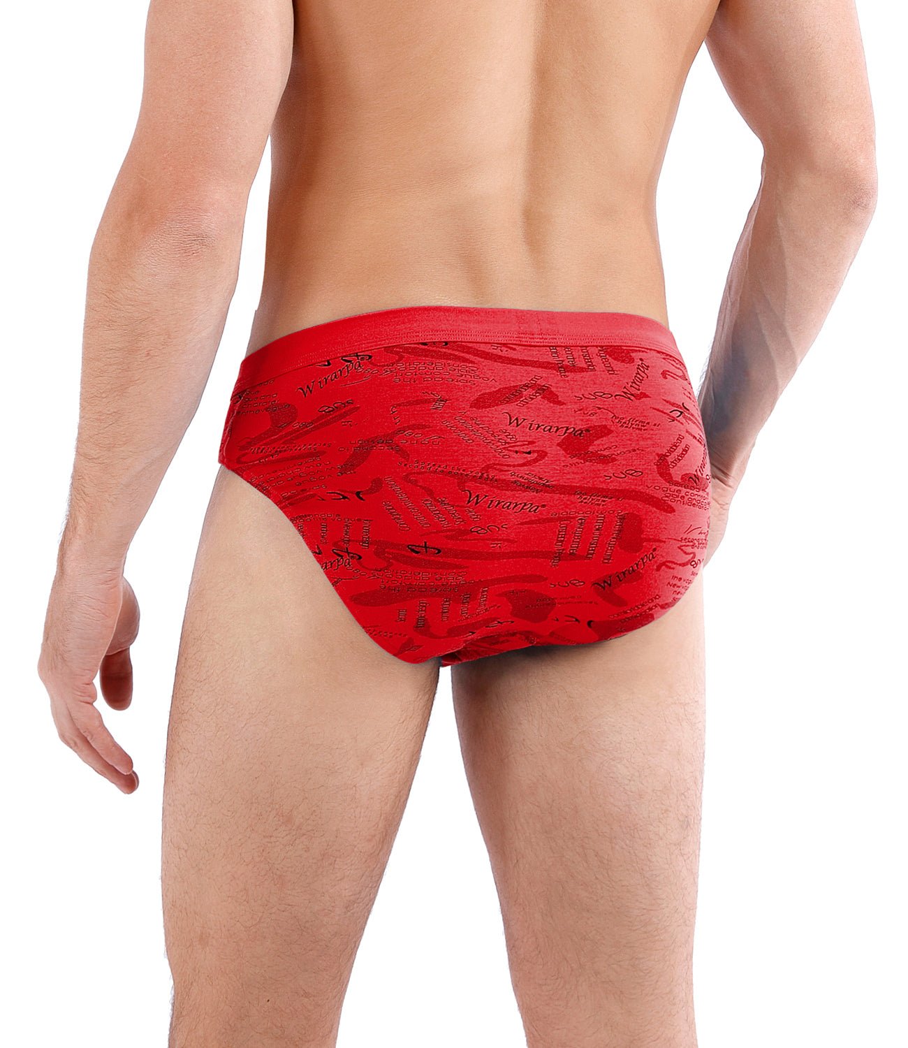 wirarpa Men's Underwear Modal Microfiber Briefs No Fly Covered Waistband ,  Small